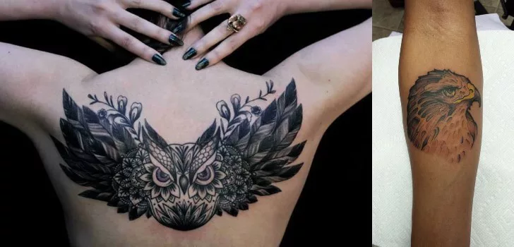 Tatuagem de Pássaros Mistura Simbologia Com Delicadeza