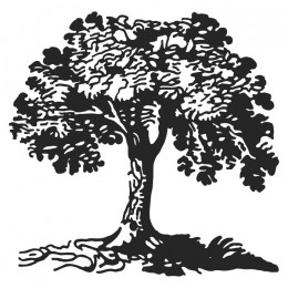 nogueira-1_xl Nogueira