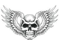 Caveira Com Asas