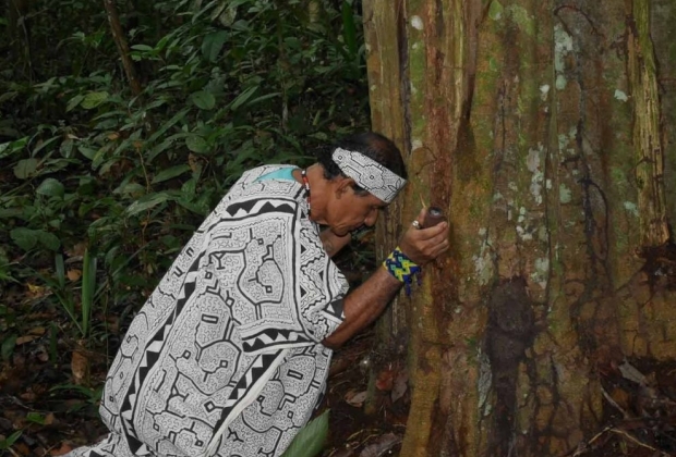 Simbolos Do Xamanismo