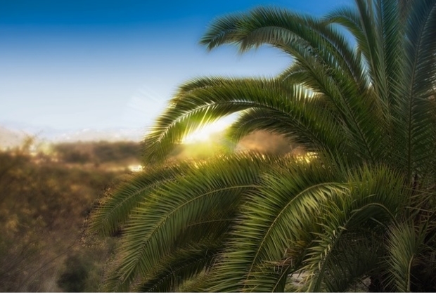 simbolos-da-pascoa-6_xl Simbolos Da Pascoa