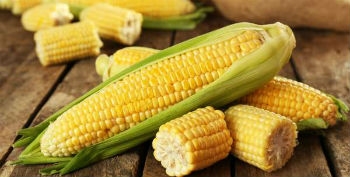 Simbolos Das Festas Juninas