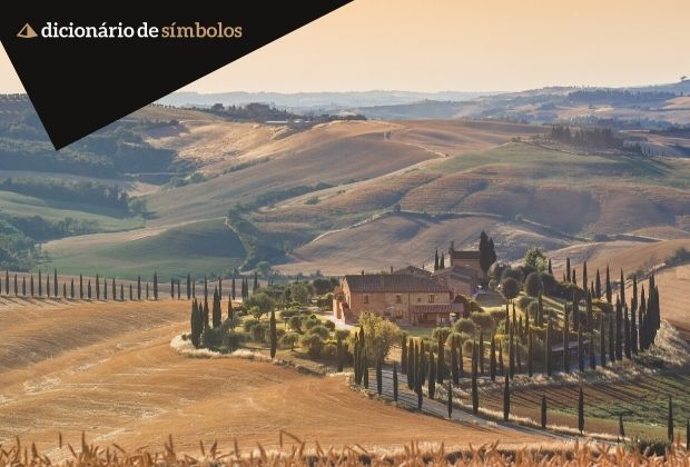 cigarra-as-simbologias-do-inseto-e-o-significado-do-seu-canto-6_xl Cigarra As Simbologias Do Inseto E O Significado Do Seu Canto