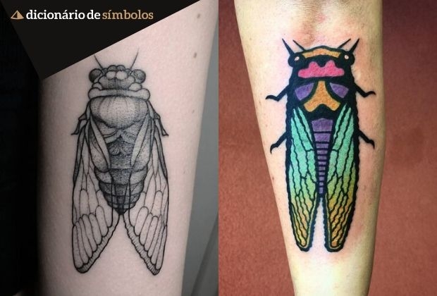 cigarra-as-simbologias-do-inseto-e-o-significado-do-seu-canto-5_xl Cigarra As Simbologias Do Inseto E O Significado Do Seu Canto