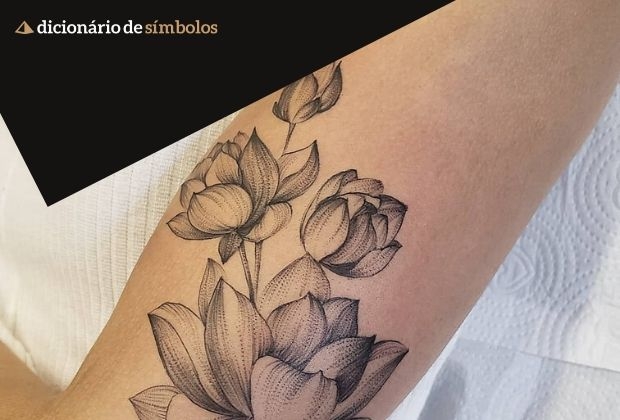 Significado Da Tatuagem Da Flor De Lotus