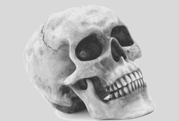 significado-da-caveira-3_xl Significado Da Caveira