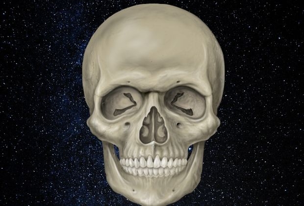 significado-da-caveira-4_xl Significado Da Caveira