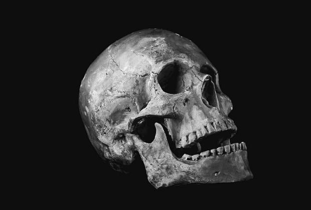 significado-da-caveira-2_xl Significado Da Caveira