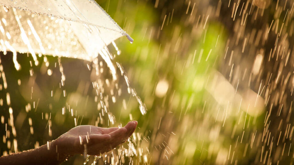 chuva em fundo verde desfocado