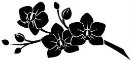 orquidea-5_xl Desenho em preto de três flores com botões em um galho, estilo silhueta.