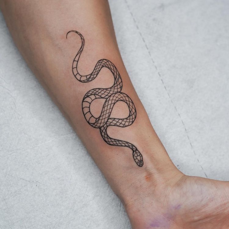 4-2 Um antebraço com uma cobra tatuada