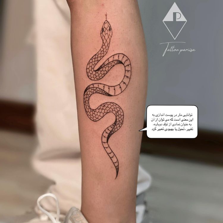 7-2 uma cobra tatuada em uma canela na parte de fora da perna