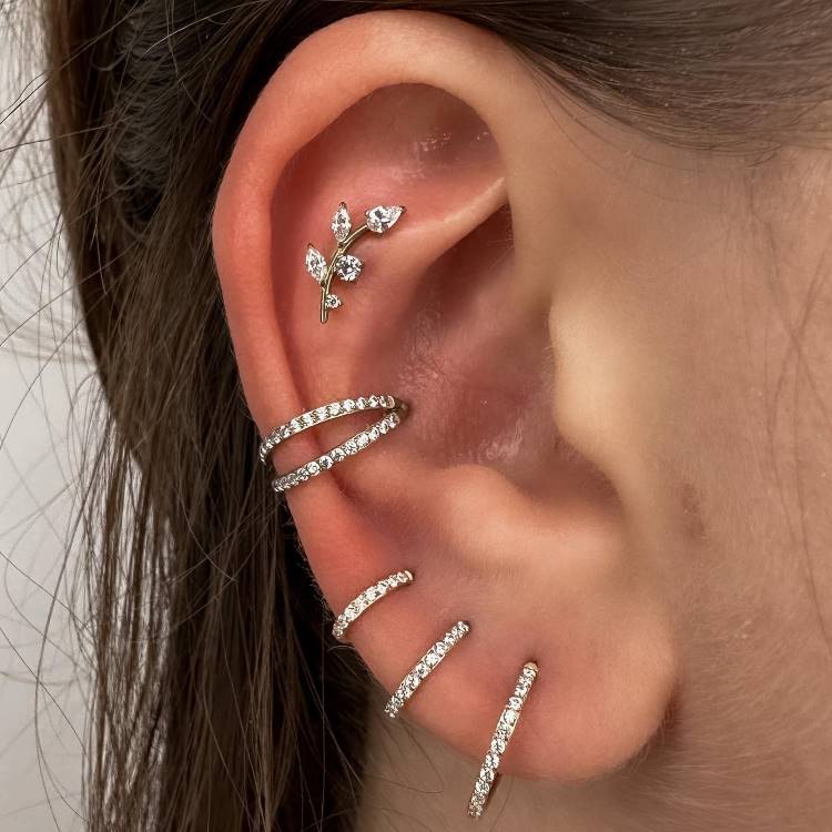 Orelha com piercing de ramos na scapha, argola dupla no conch e três argolas no lóbulo.