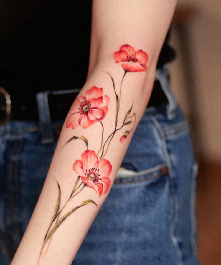 Tatuagem delicada e colorida no antebraço com flores de papoula vermelhas, hastes finas e folhas verdes em estilo naturalista. O braço contrasta com roupas casuais, incluindo jeans azul e blusa preta, em um ambiente interno de tons quentes.
