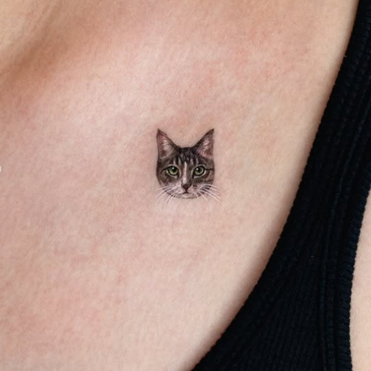 tatuagens-pequenas-10 Tatuagem realista de gato em clavícula