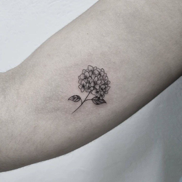 tatuagens-pequenas-16 Tatuagem pequena no braço de hortênsia sombreada