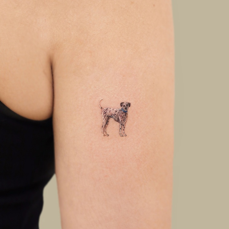 tatuagens-pequenas-9 Tatuagem pequena de Dálmata realista em braço
