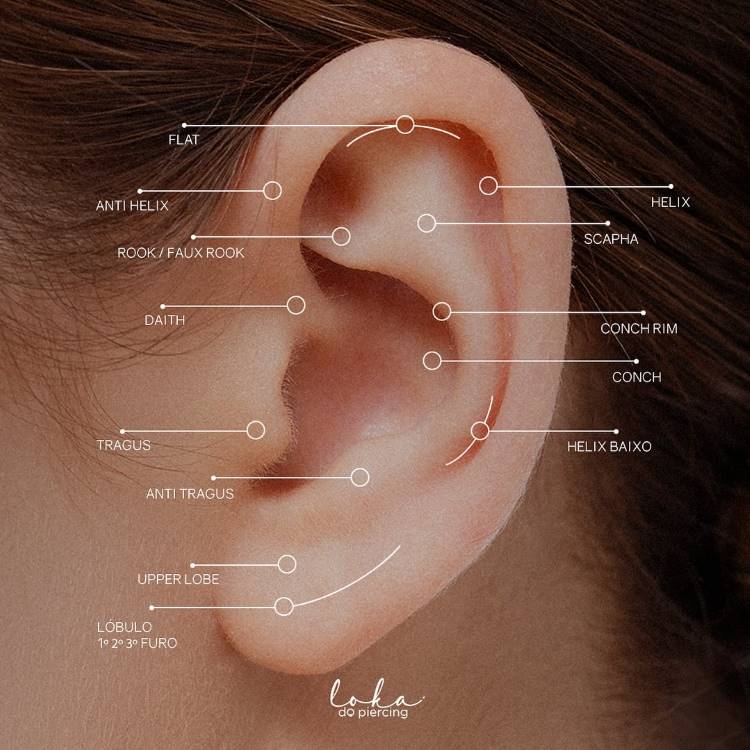 Orelha de uma pessoa de pele clara com setas indicando os tipos de piercing.